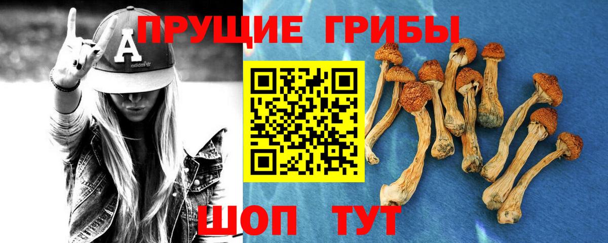 Галлюциногенные грибы мицелий Ухта
