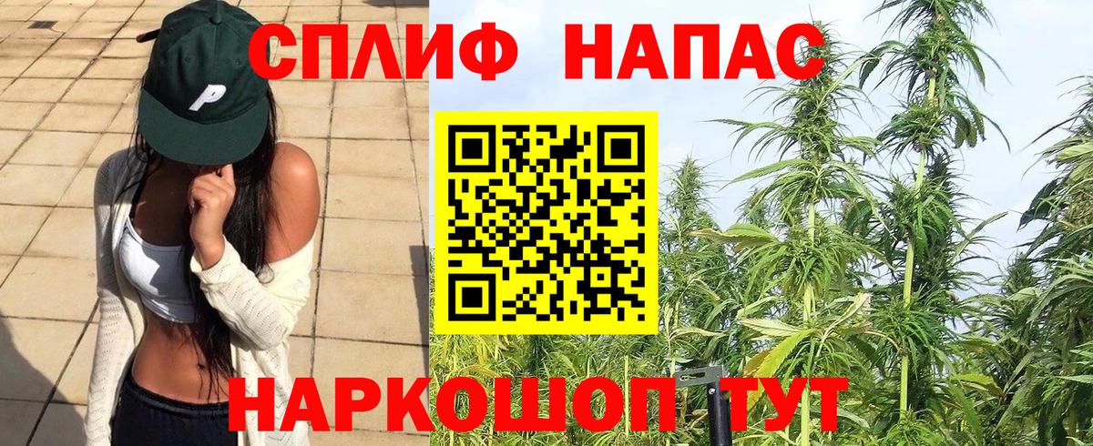 Марихуана семена  Каннабис OG Kush  Ухта  Вход с VPN  Конопля Bruce Banner 
